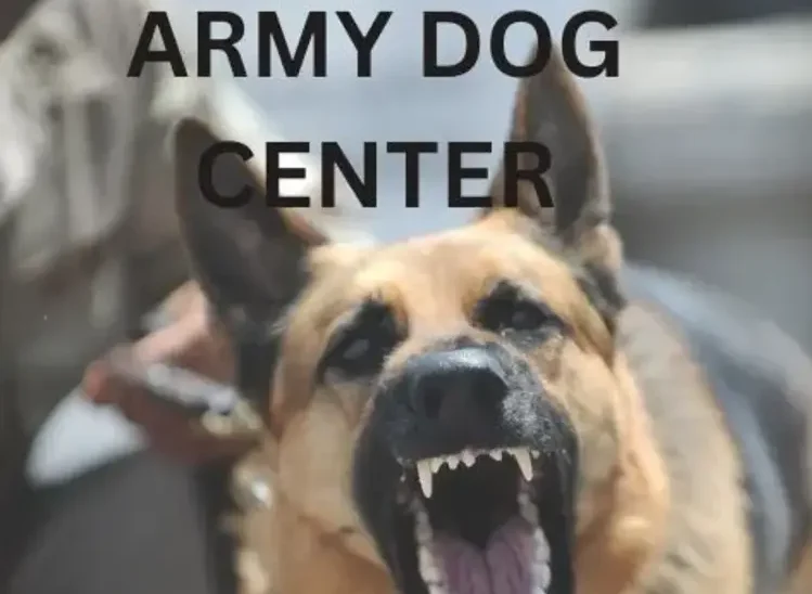 Army Dog Centre