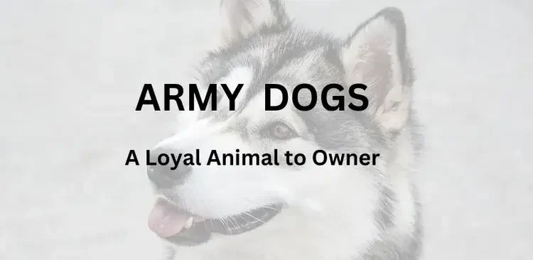 Army Dog Centre